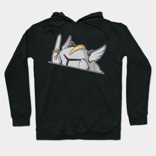 Cat Tabletop RPG Paladin Hoodie